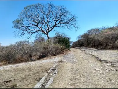 Terreno en venta en Tlaltizapán - foto 3