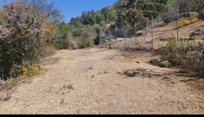 Terreno en venta en Texcoco - foto 2