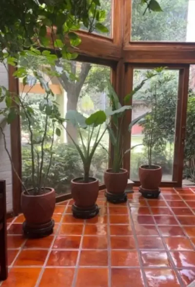 Casa en venta en Guadalajara - foto 5