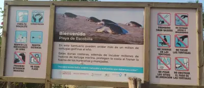 Terreno en venta en Santa María Tonameca - foto 2