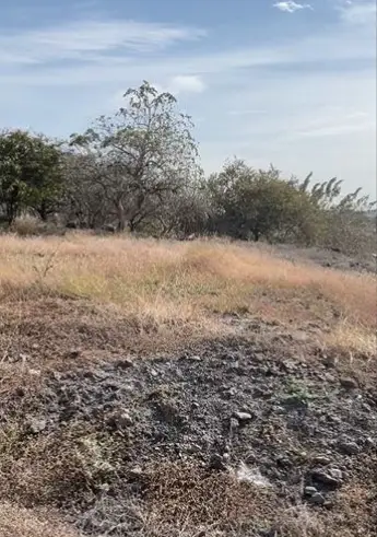 Terreno en venta en Yautepec - foto 5