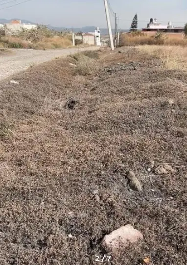 Terreno en venta en Yautepec - foto 4