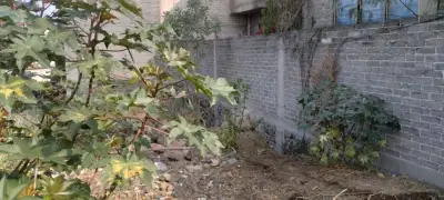 Terreno en venta en Tlalpan - foto 5