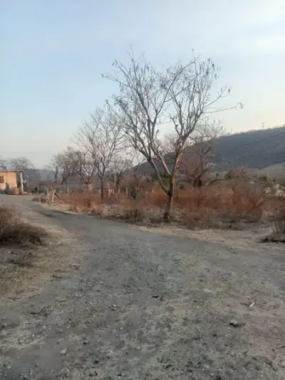 Terreno en venta en Ayala - foto 2