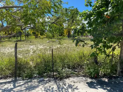 Terreno en venta en Telchac Puerto - foto 2