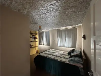 Casa en venta en Tenango del Valle - foto 5