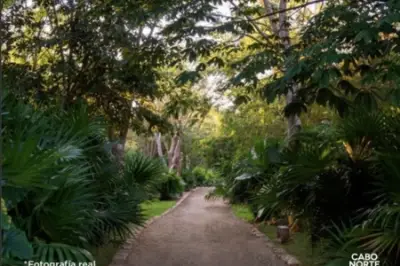 Terreno en venta en Mérida - foto 2