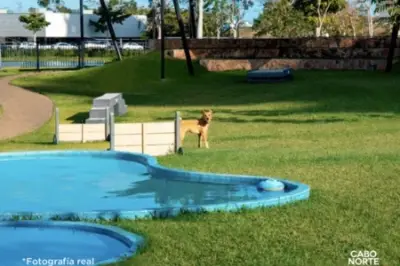 VENTA DE TERRENO EN CABO NORTE ZONA EXCLUSIVA DE ALTA PLUSVA