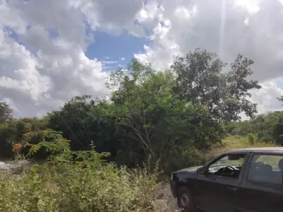 Terreno en venta en Mérida - foto 3
