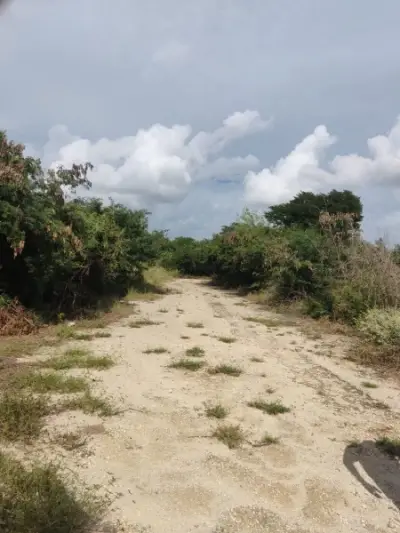 Terreno en venta en Mérida - foto 2