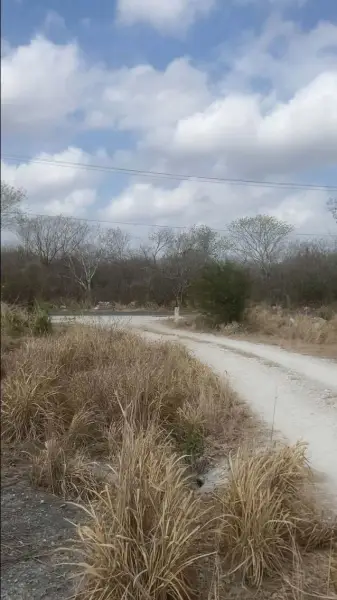 Terreno en venta en Mérida - foto 5