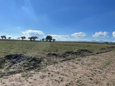 Terreno en venta en Aguascalientes - foto 5