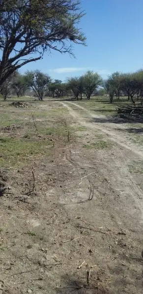 Terreno en venta en Aguascalientes - foto 4