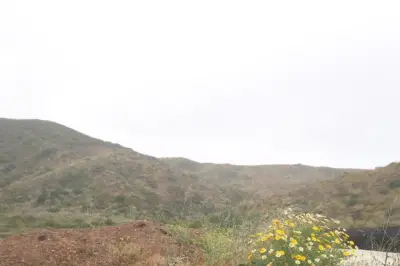 Terreno en venta en Ensenada - foto 3