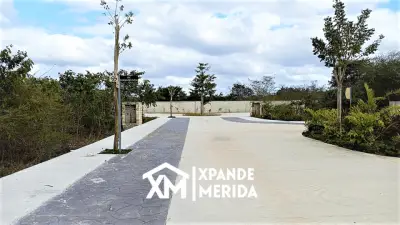 Terreno en venta en Mérida - foto 3