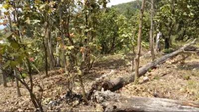 Terreno en venta en Tlajomulco de Zúñiga - foto 5