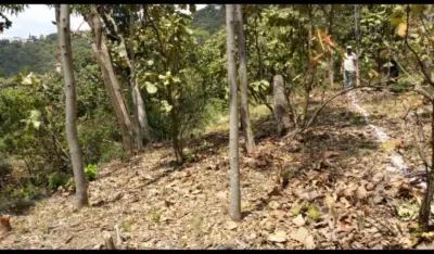 Terreno en venta en Tlajomulco de Zúñiga - foto 4