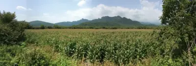 Terreno en venta en Tepoztlán - foto 2