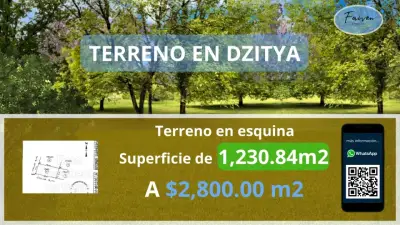 VENTA DE TERRENO EN DZITYA EN ESQUINA