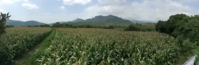 Terreno en venta en Tepoztlán - foto 3