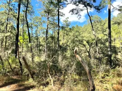 Terreno en venta en Tapalpa - foto 2