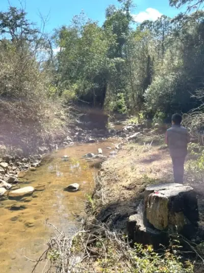 Terreno en venta en Tapalpa - foto 5