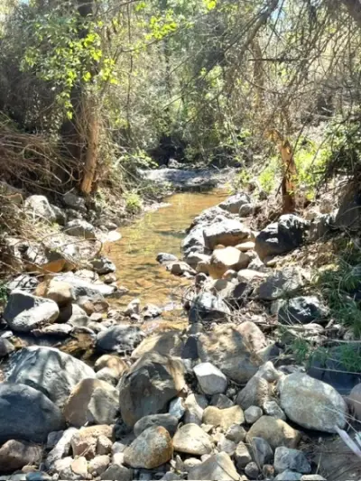 Terreno en venta en Tapalpa - foto 3