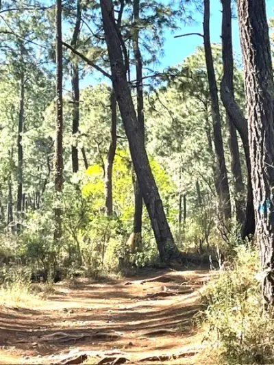 Terreno en venta en Tapalpa