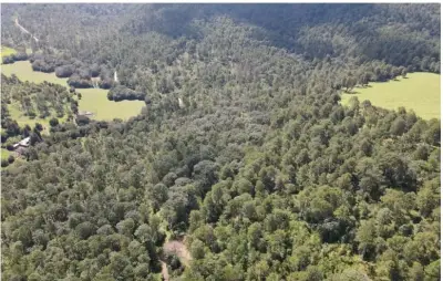 Rancho Aguacatero Concepcion de buenos aires