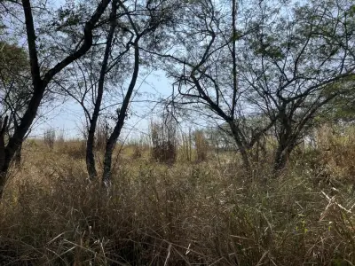 Terreno en venta en Coatepec - foto 2