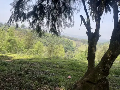 Terreno en venta en Coatepec - foto 3