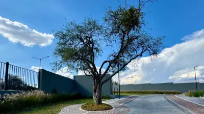 Terreno en venta en Querétaro - foto 5