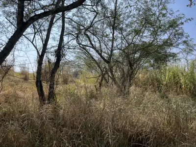 Terreno en venta en Coatepec - foto 4