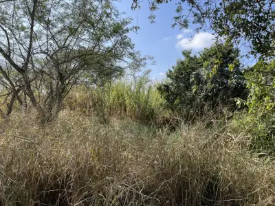 Terreno en venta en Coatepec - foto 3