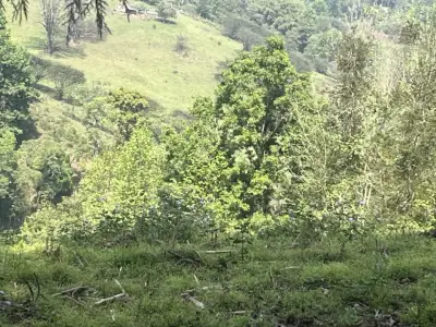 Terreno en venta en Coatepec - foto 2