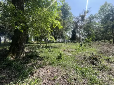 Terreno en venta en Coatepec - foto 5