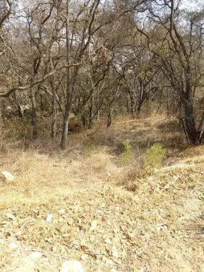 Terreno en venta en Atizapán de Zaragoza - foto 3