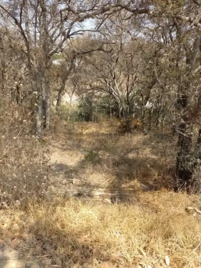 Terreno en venta en Atizapán de Zaragoza - foto 4