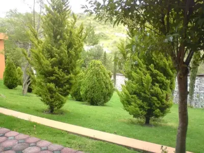 Casa en venta en Texcoco - foto 2