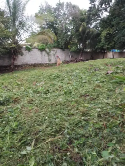 Terreno en venta en Bacalar - foto 4