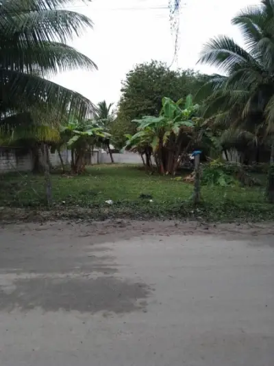 Terreno en venta en Bacalar - foto 2