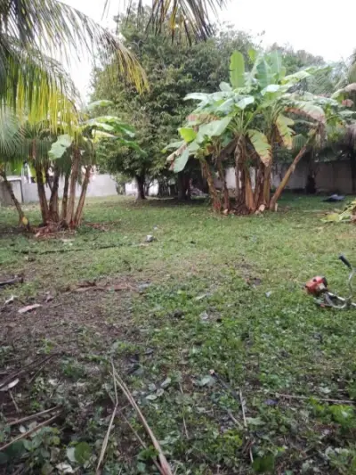 Terreno en venta en Bacalar - foto 3