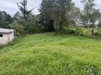 Terreno en venta en Tlalnelhuayocan - foto 3