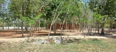 Terreno en venta en Progreso - foto 2