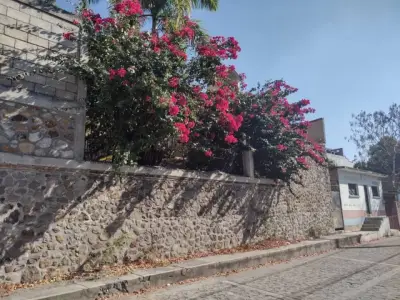 Casa en venta en Puente de Ixtla - foto 2