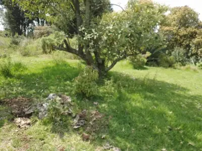 SE VENDE TERRENO EN VILLA DEL CARBÓN