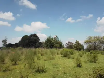 Terreno en venta en Villa del Carbón - foto 3