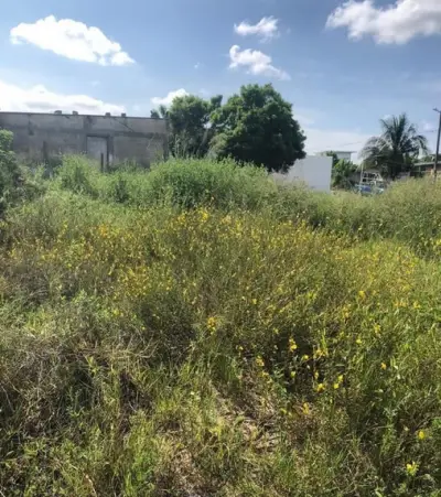 Terreno en venta en Perote - foto 2