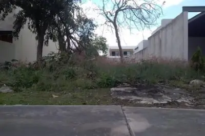 Terreno en venta en Mérida - foto 4