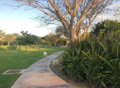 Terreno en venta en Mérida - foto 4